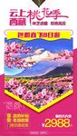 C-云上西藏·桃花季
