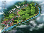 农村绿化鸟瞰