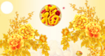花开富贵
