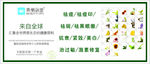 美丽自造中草药海报