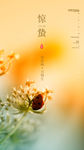 惊蛰海报 惊蛰 惊蛰节气 惊蛰