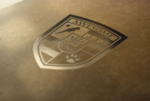 logo展示