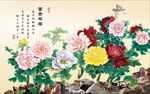 牡丹
