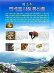 西藏野生特产