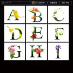 字母