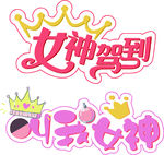 女神举牌