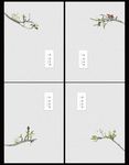 沫然未央
