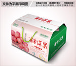 有机苹果高档礼盒包装设计