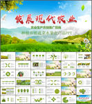 农业玉米种子新农村动态PPT