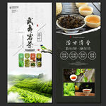 武夷岩茶