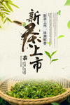 茶