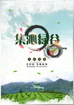 茶