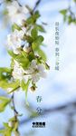 二十四节气春分微信朋友圈刷屏图
