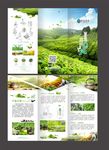 茶文化  三折页