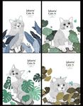 萌猫