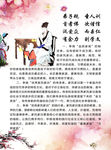 彩页宣传 背面