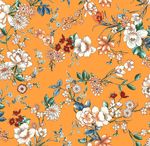 服装花型（分好色文件）