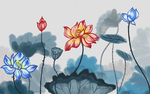 荷花图