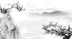 黑白水墨梅花