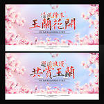 玉兰花