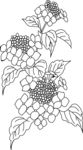 花 花头 矢量图