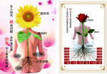 子宫护理