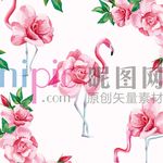 火烈鸟