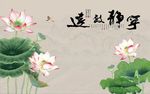 宁静致远荷花图