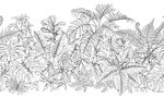 线描树叶插画插图