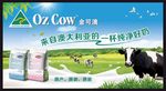 金可澳