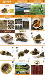 羊肚菌展示宣传广告
