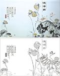 清净界