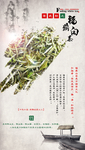 福鼎白茶茶叶海报设计