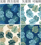 植物叶子 棕榈叶 热带