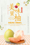 柚子海报
