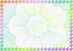 花瓣儿 精装证书纹