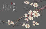 玉兰花