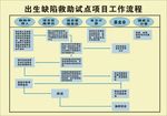 出生缺陷救助点工作流程