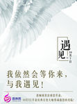 羽毛