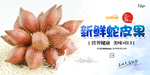 蛇皮果