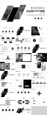企业简介PPT
