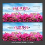 杜鹃花