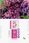 新鲜葡萄海报
