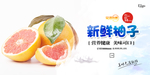柚子