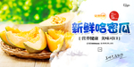 哈密瓜