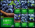 蓝莓