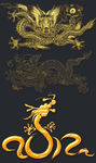 龙