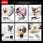 宠物美容