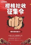 樱桃征集令
