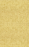 皮纹